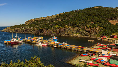 NFLD_04303__MG_3280.jpg