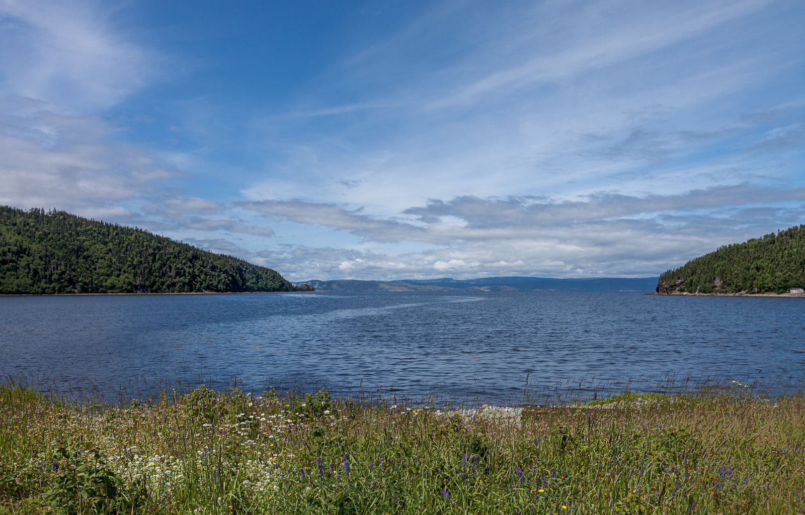 NFLD_0842__MG_9569.jpg