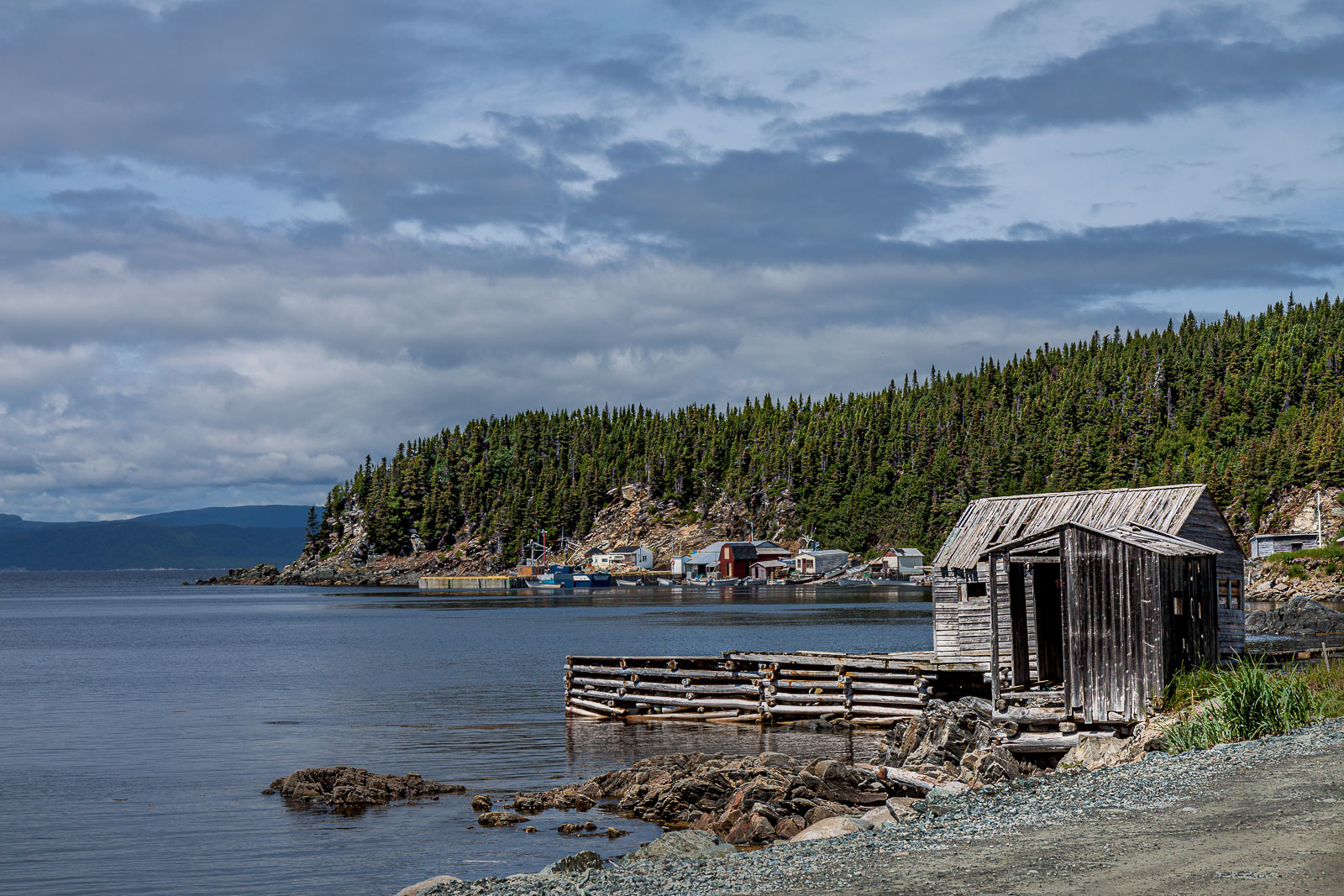 NFLD_0846__MG_9573.jpg