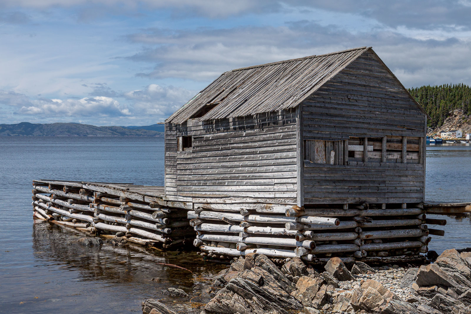 NFLD_0850__MG_9577.jpg