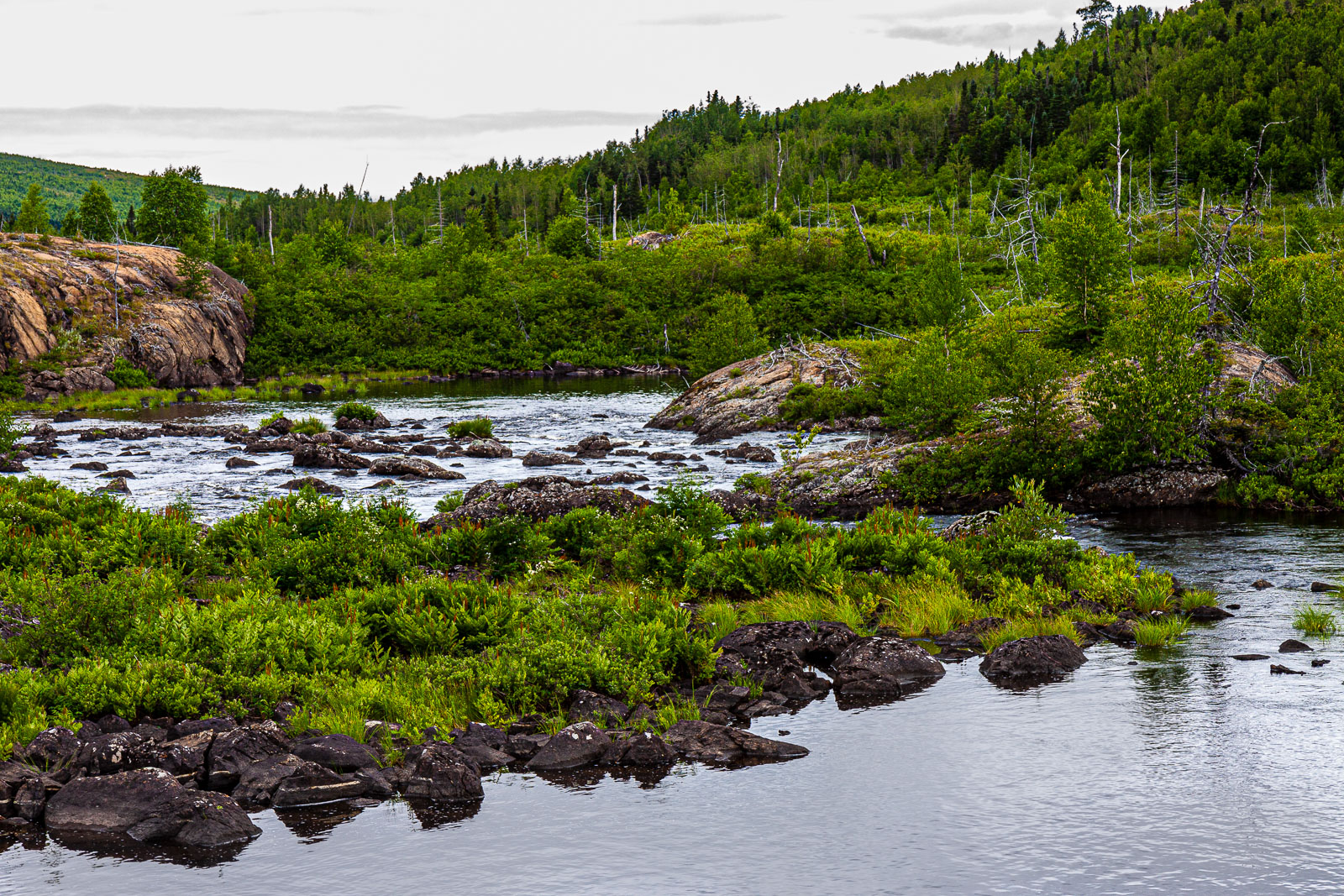 NFLD_0863__MG_9590.jpg