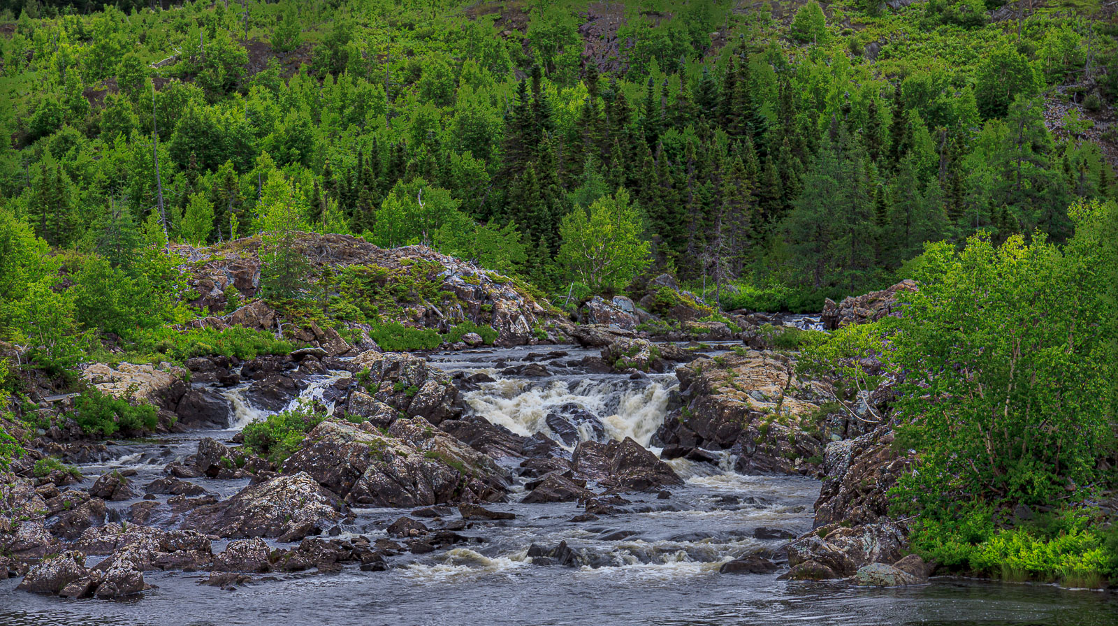 NFLD_0865__MG_9592.jpg