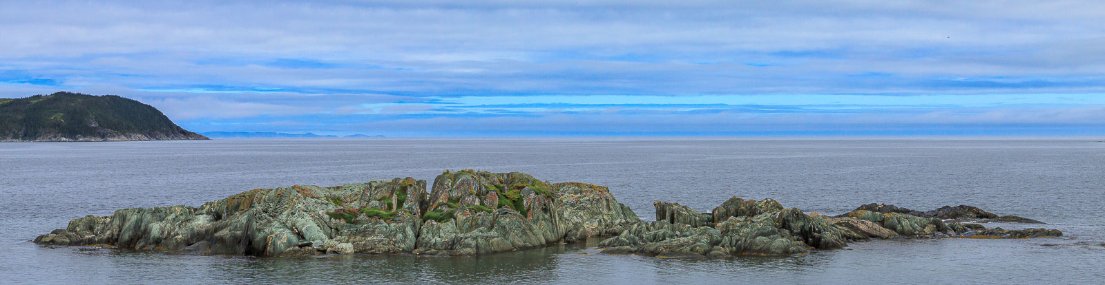 NFLD_0877__MG_9604.jpg