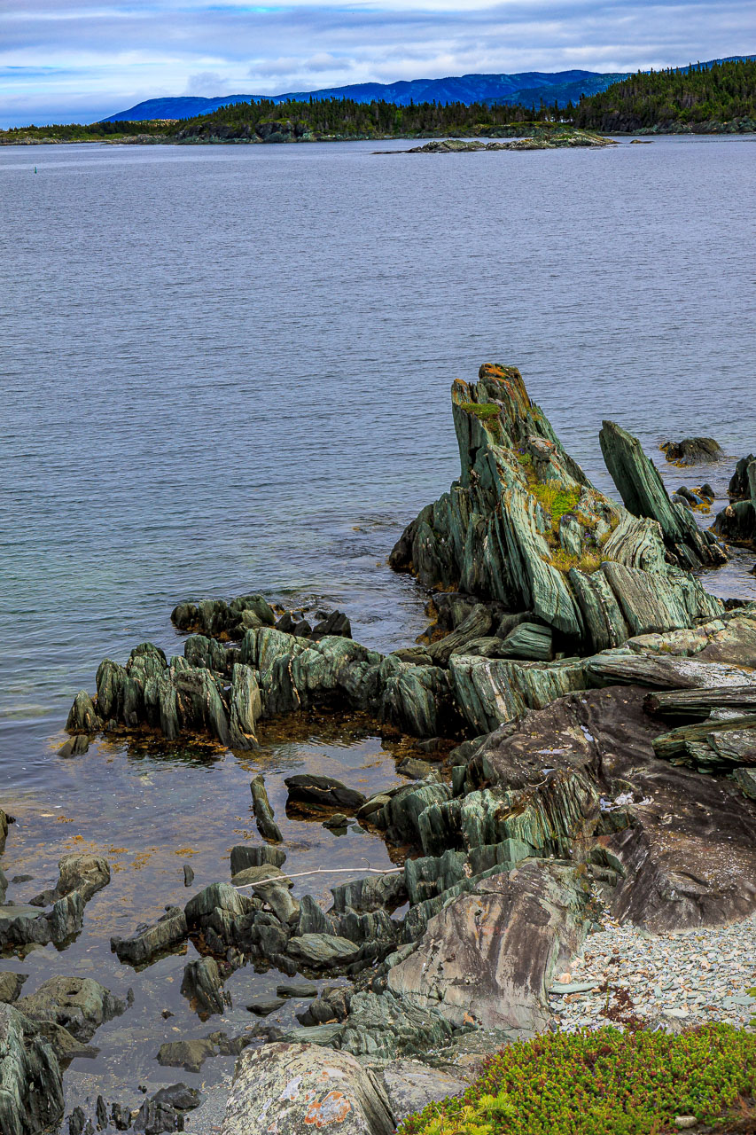 NFLD_0878__MG_9605.jpg