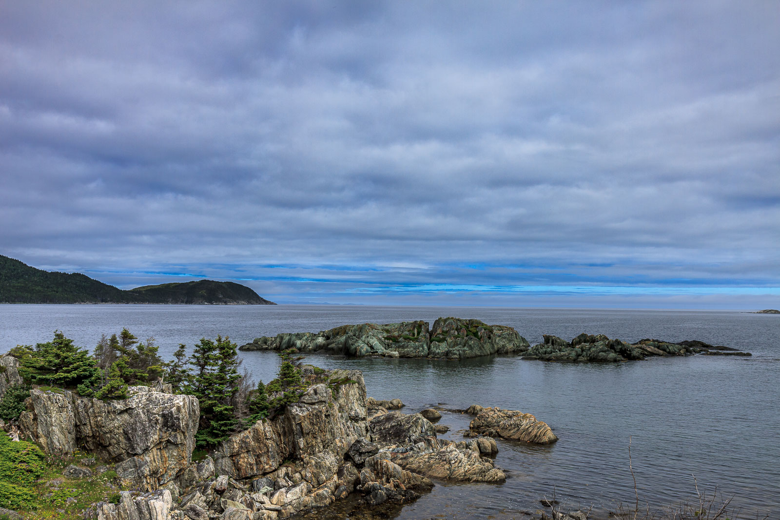 NFLD_0883__MG_9610.jpg