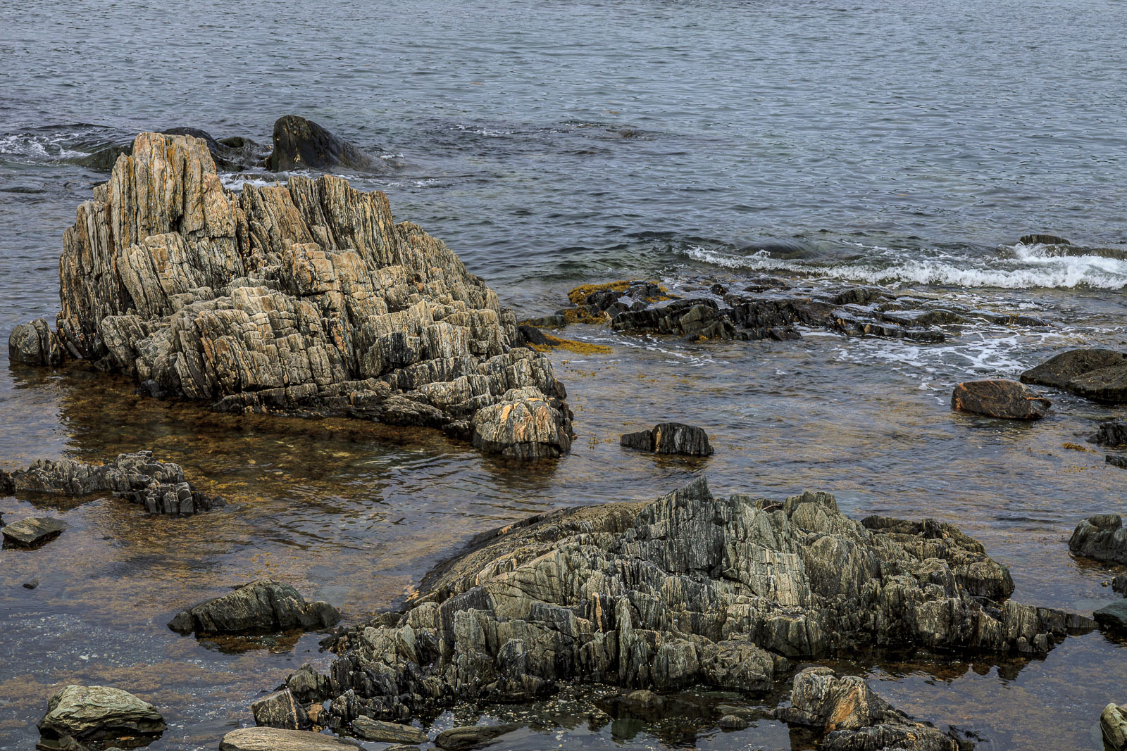 NFLD_0891__MG_9618.jpg