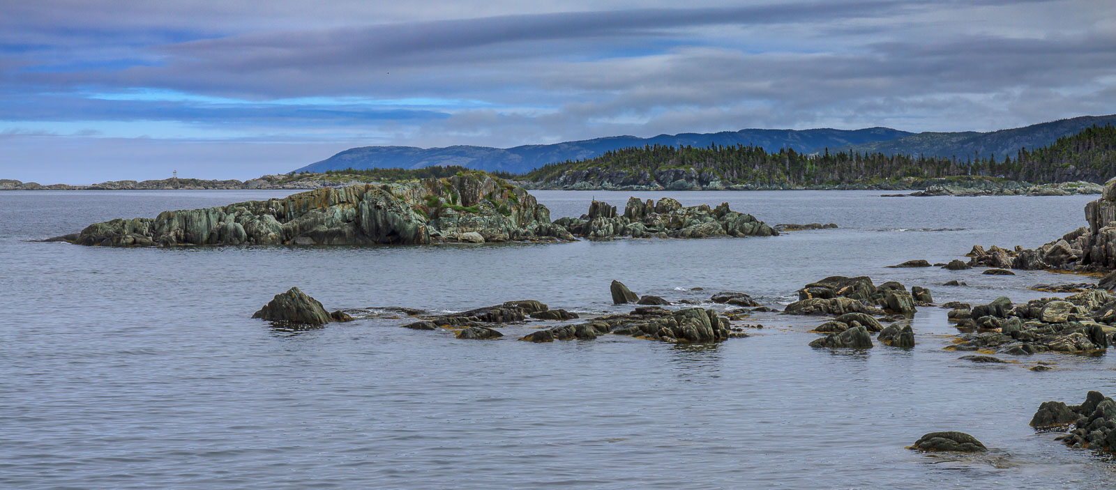 NFLD_0893__MG_9620.jpg