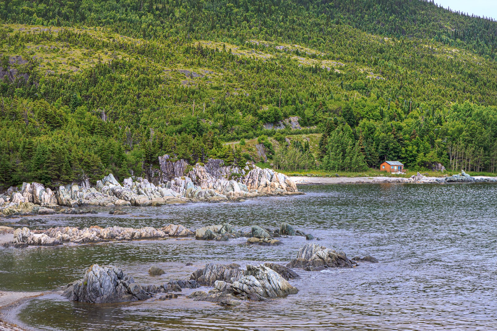 NFLD_0897__MG_9624.jpg