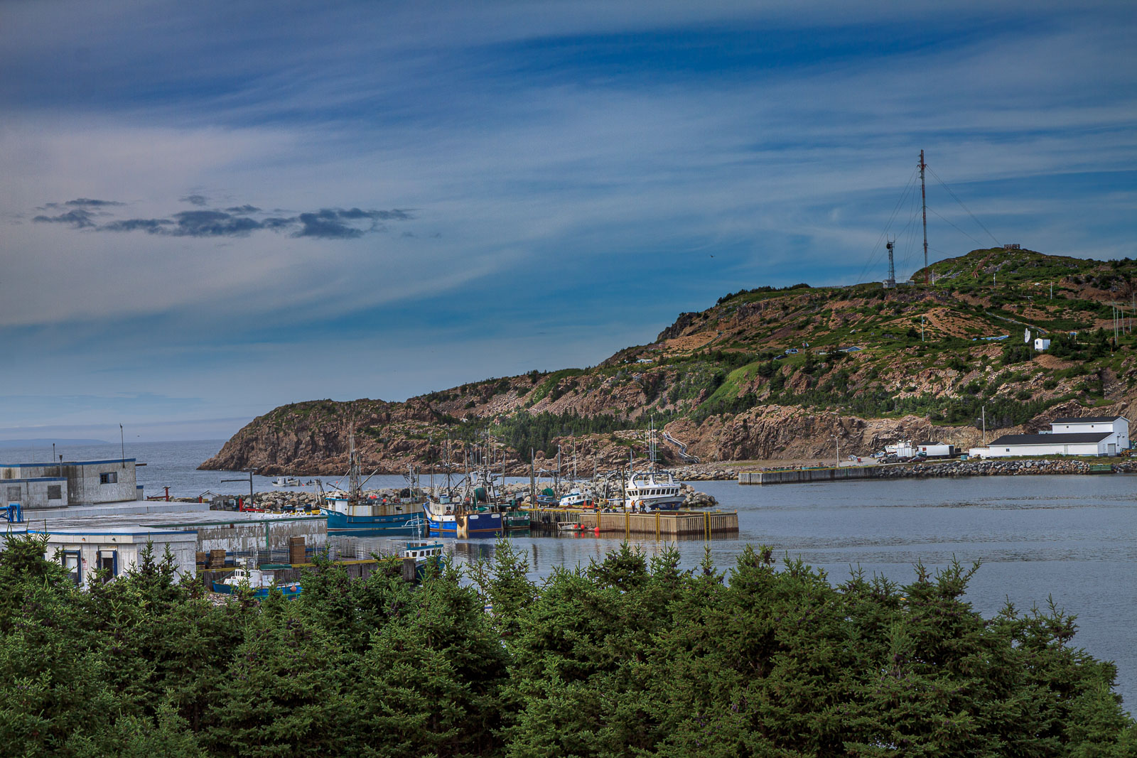 NFLD_0920__MG_9647.jpg