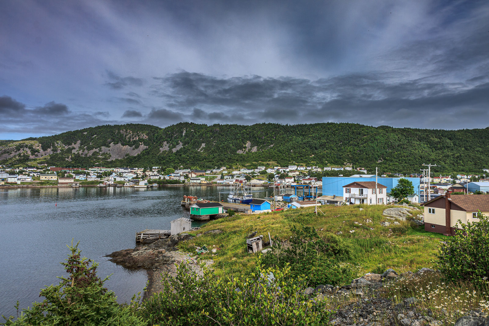 NFLD_0951__MG_9678.jpg