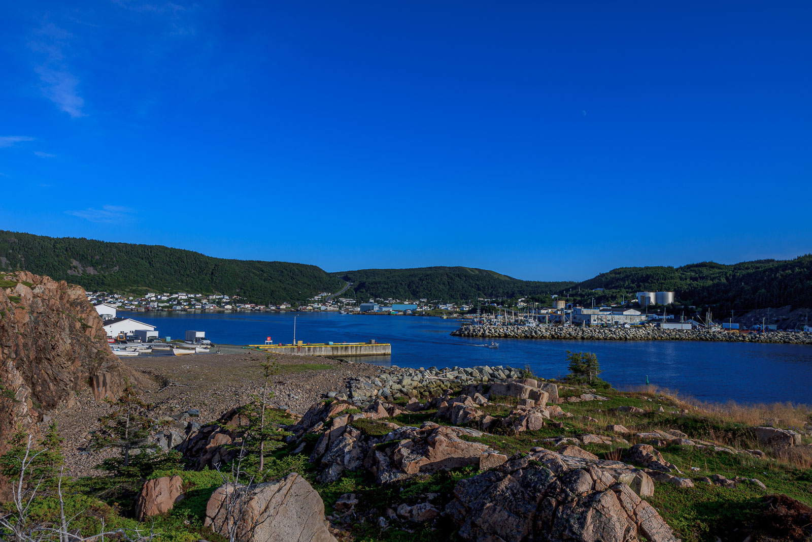 NFLD_0978__MG_9705.jpg