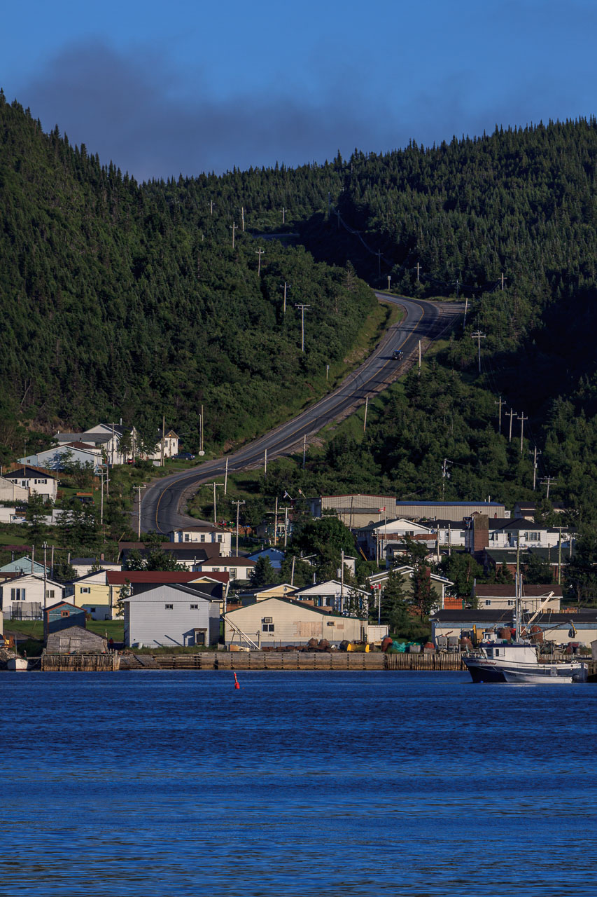 NFLD_1161__MG_9757.jpg