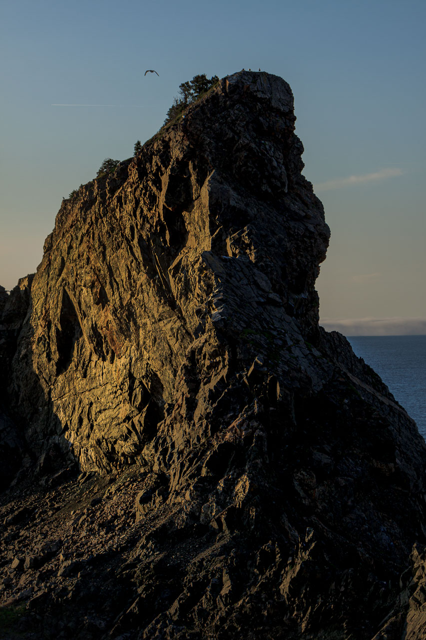 NFLD_1200__MG_9796.jpg