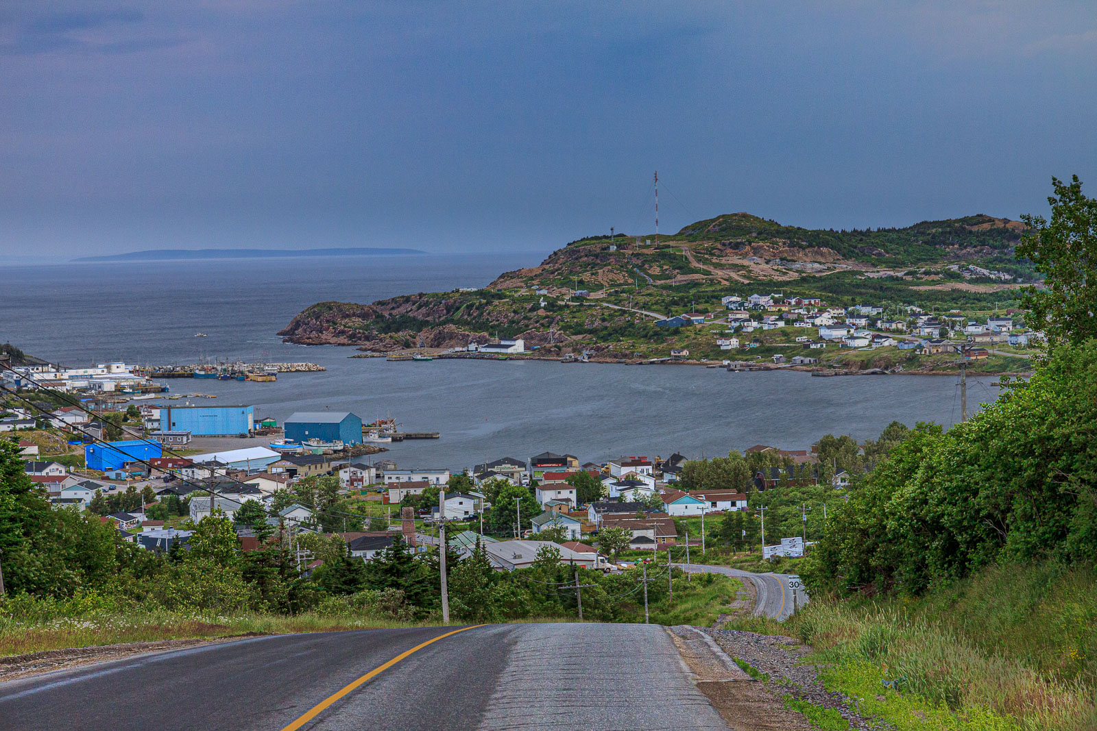 NFLD_1267__MG_9863.jpg