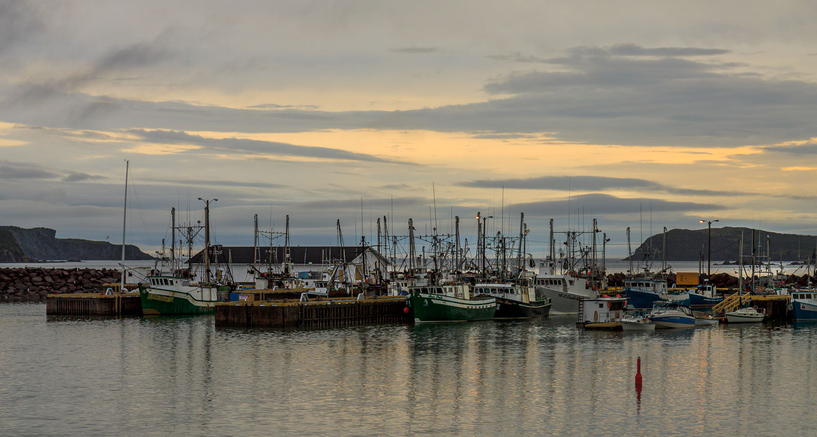 NFLD_1270__MG_9866.jpg