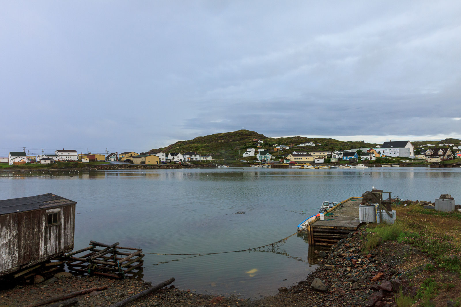 NFLD_1272__MG_9868.jpg