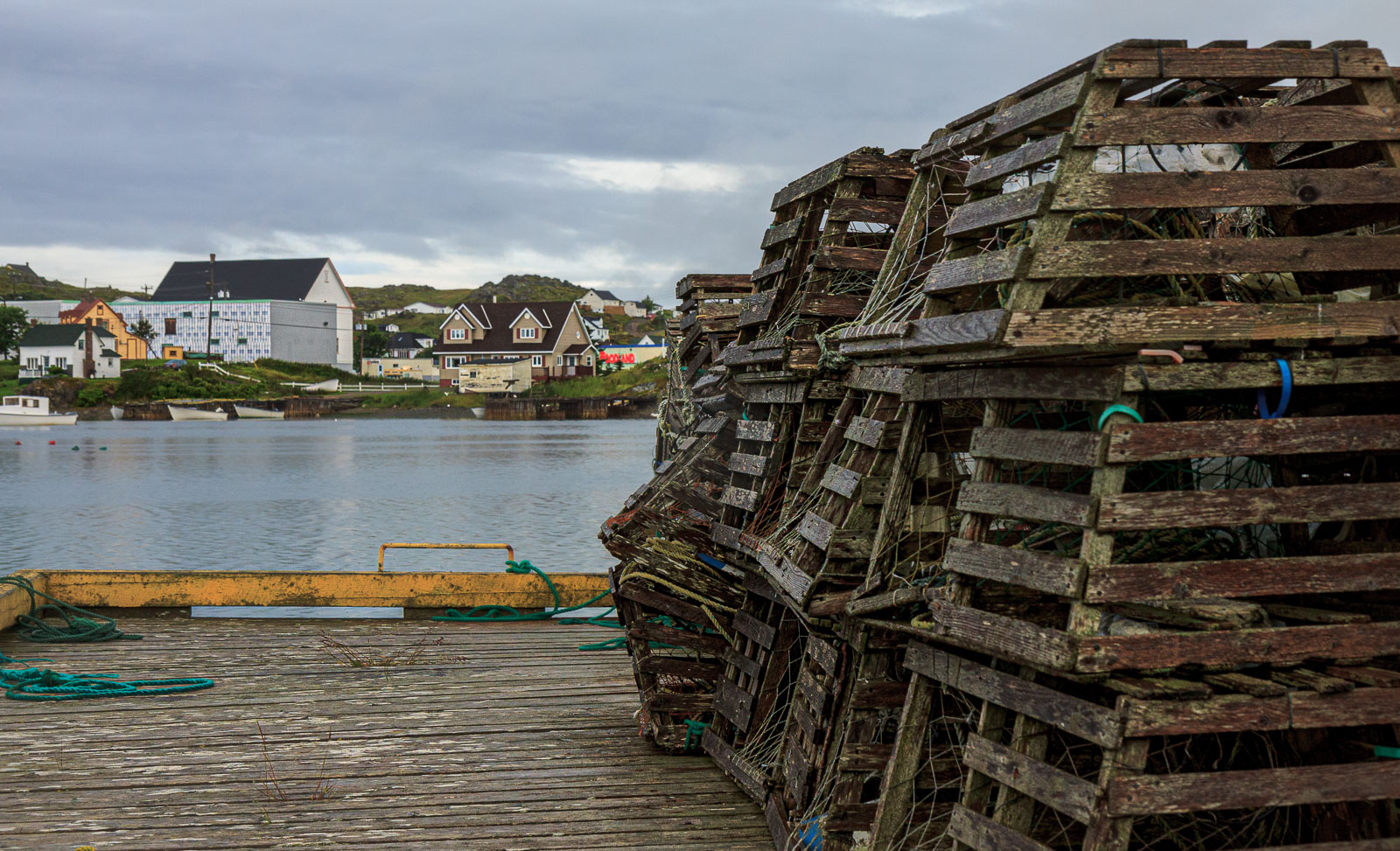 NFLD_1276__MG_9872.jpg