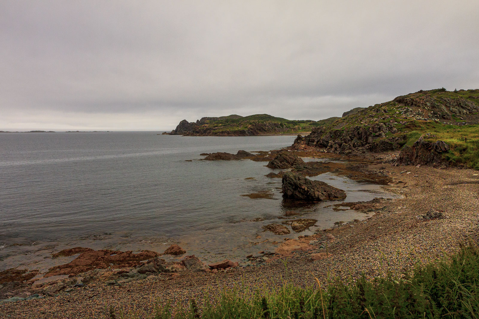 NFLD_1282__MG_9878.jpg