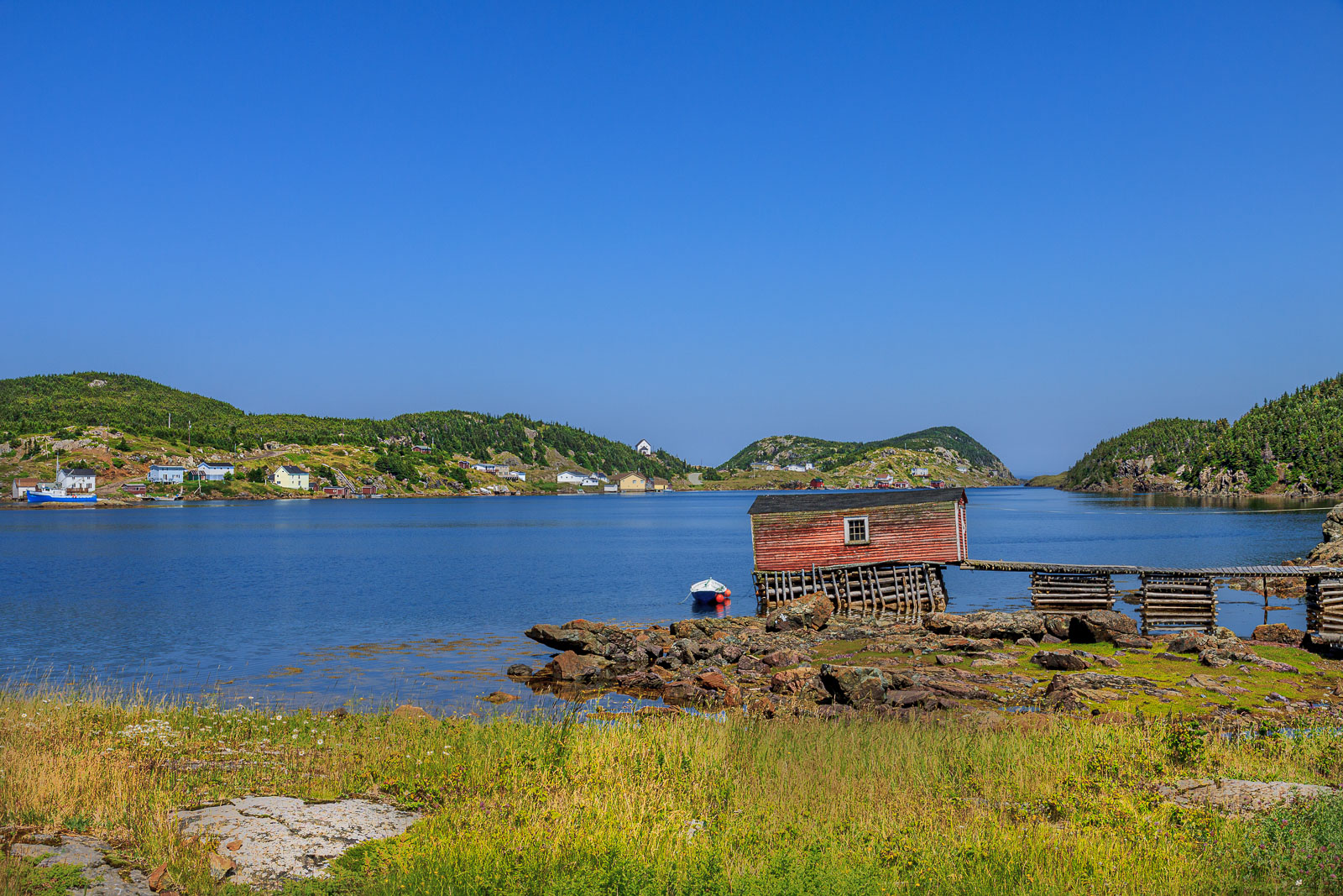 NFLD_1290__MG_9886.jpg