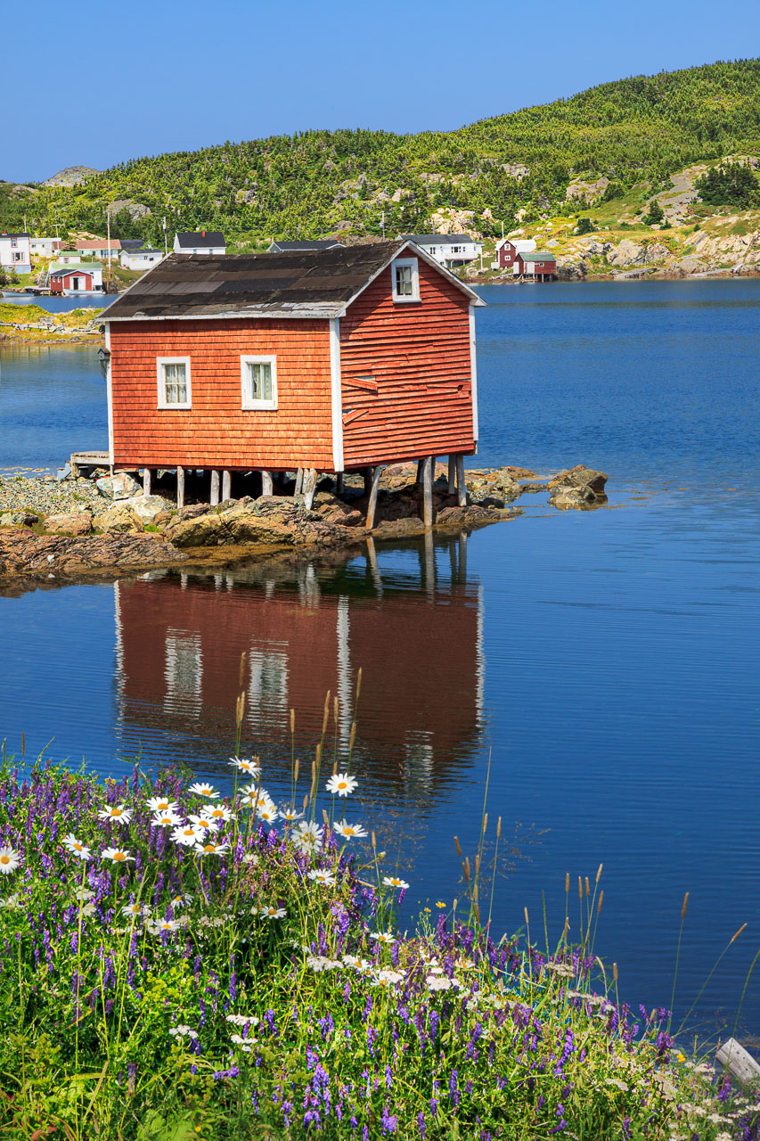 NFLD_1306__MG_9902.jpg