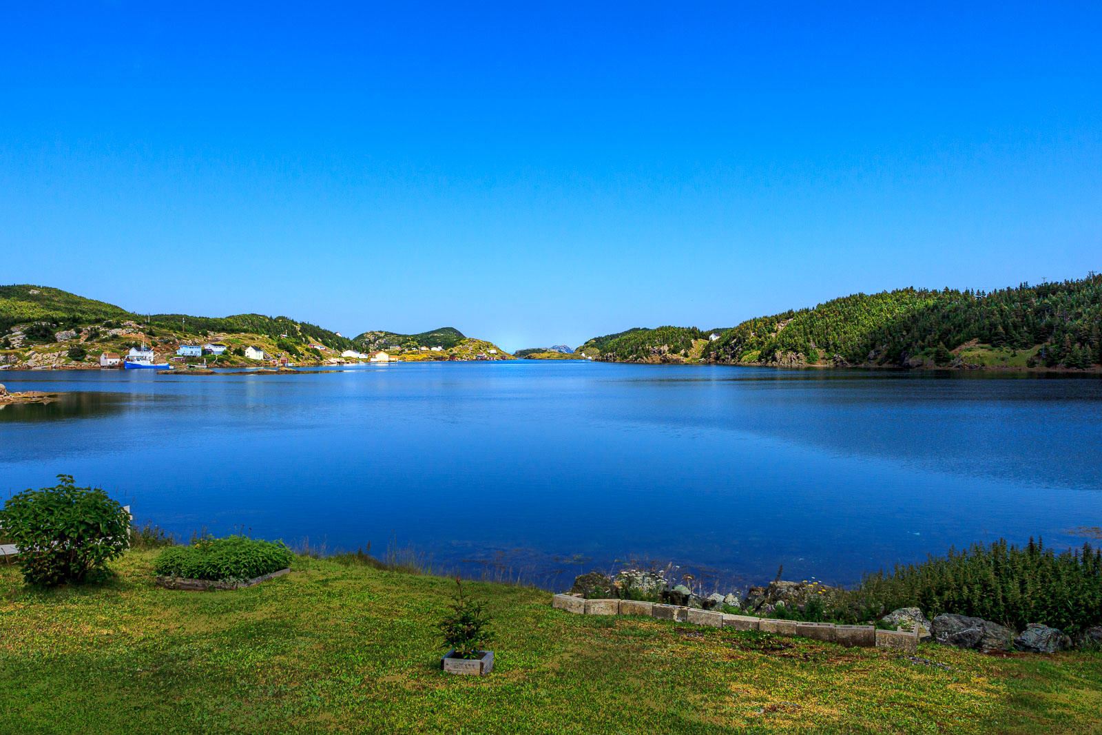 NFLD_1310__MG_9906.jpg