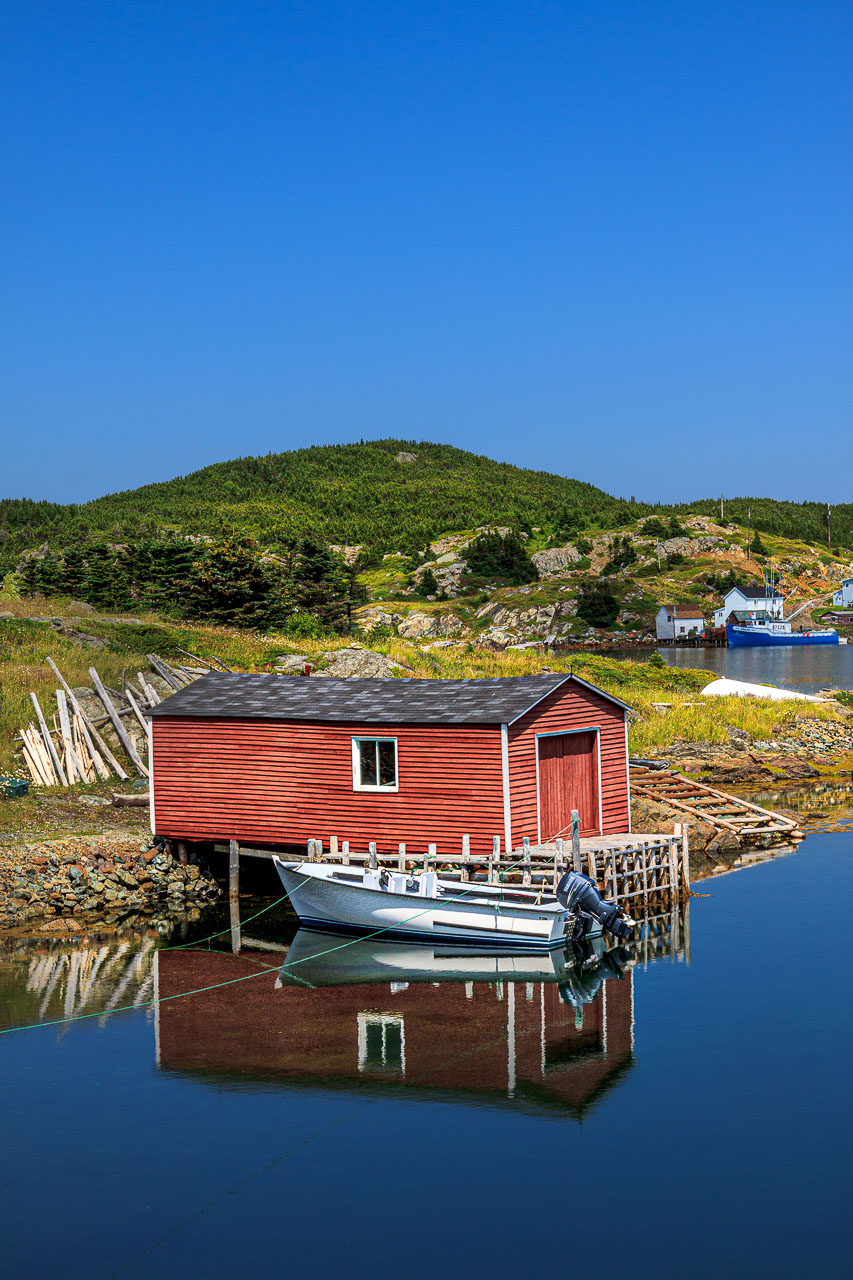 NFLD_1312__MG_9908.jpg