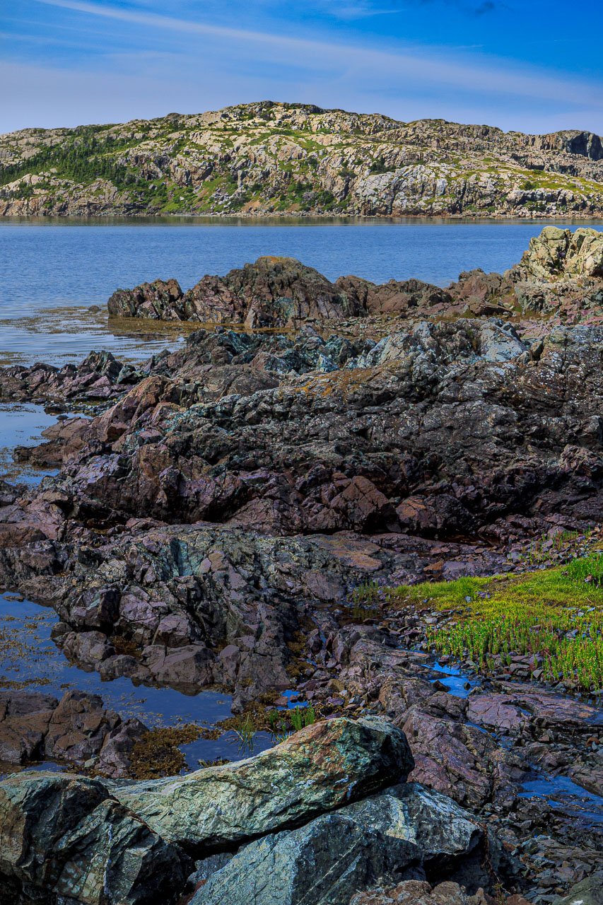 NFLD_1313__MG_9909.jpg