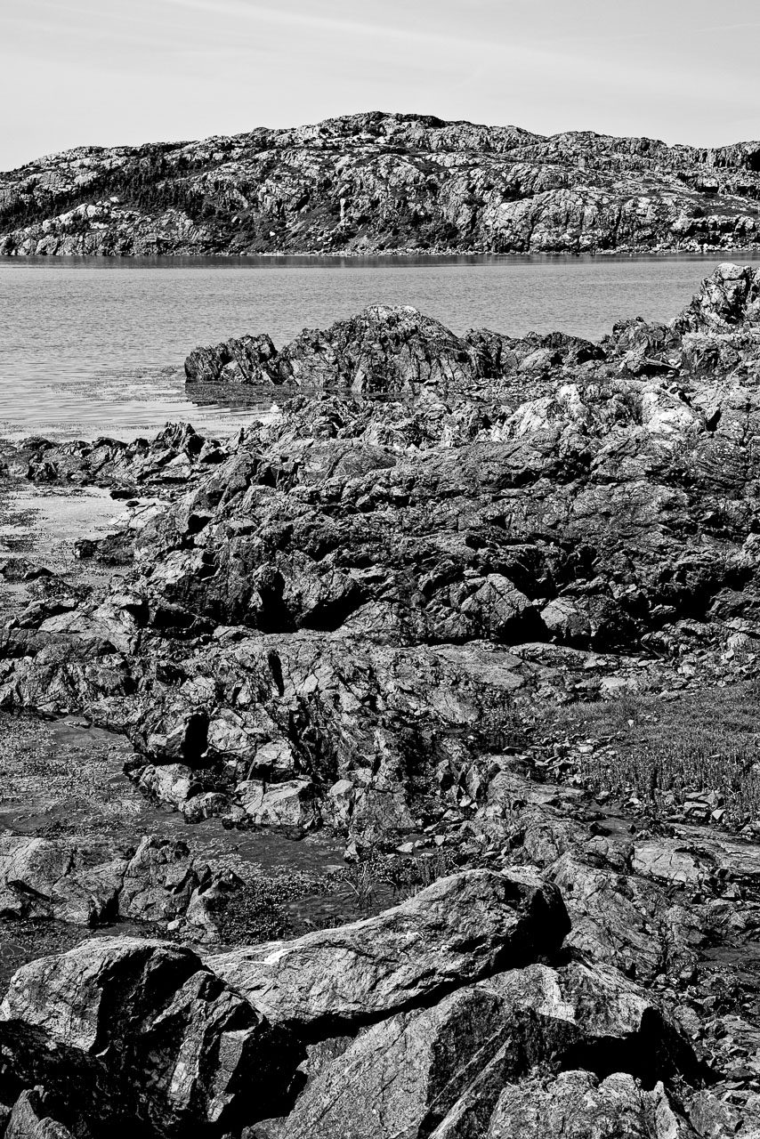 NFLD_1314__MG_9910-Edit.jpg