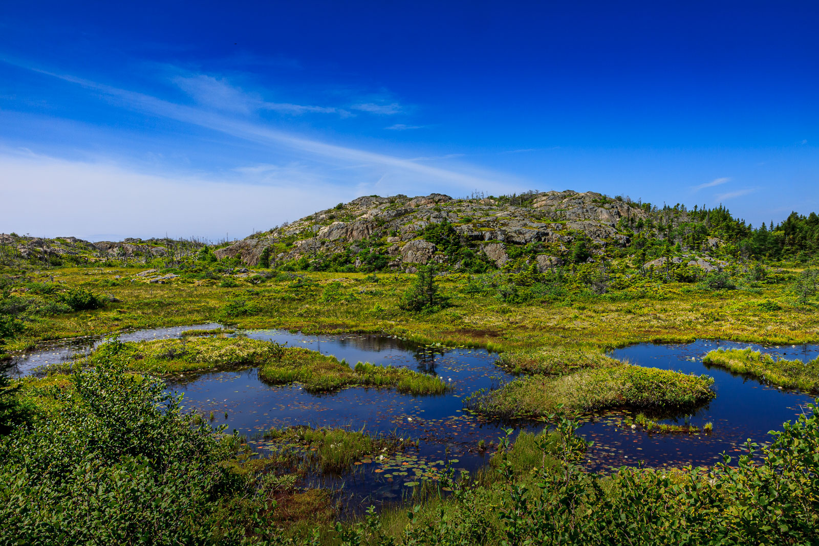 NFLD_1318__MG_9914.jpg