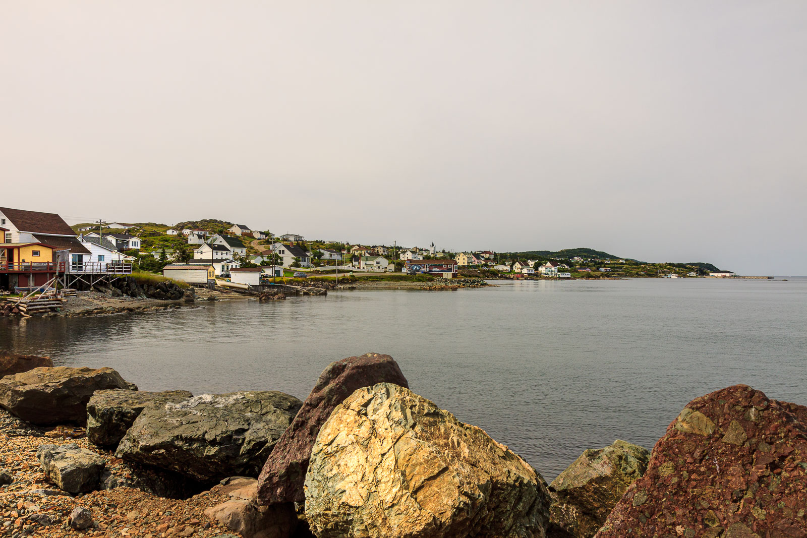 NFLD_1319__MG_9915.jpg