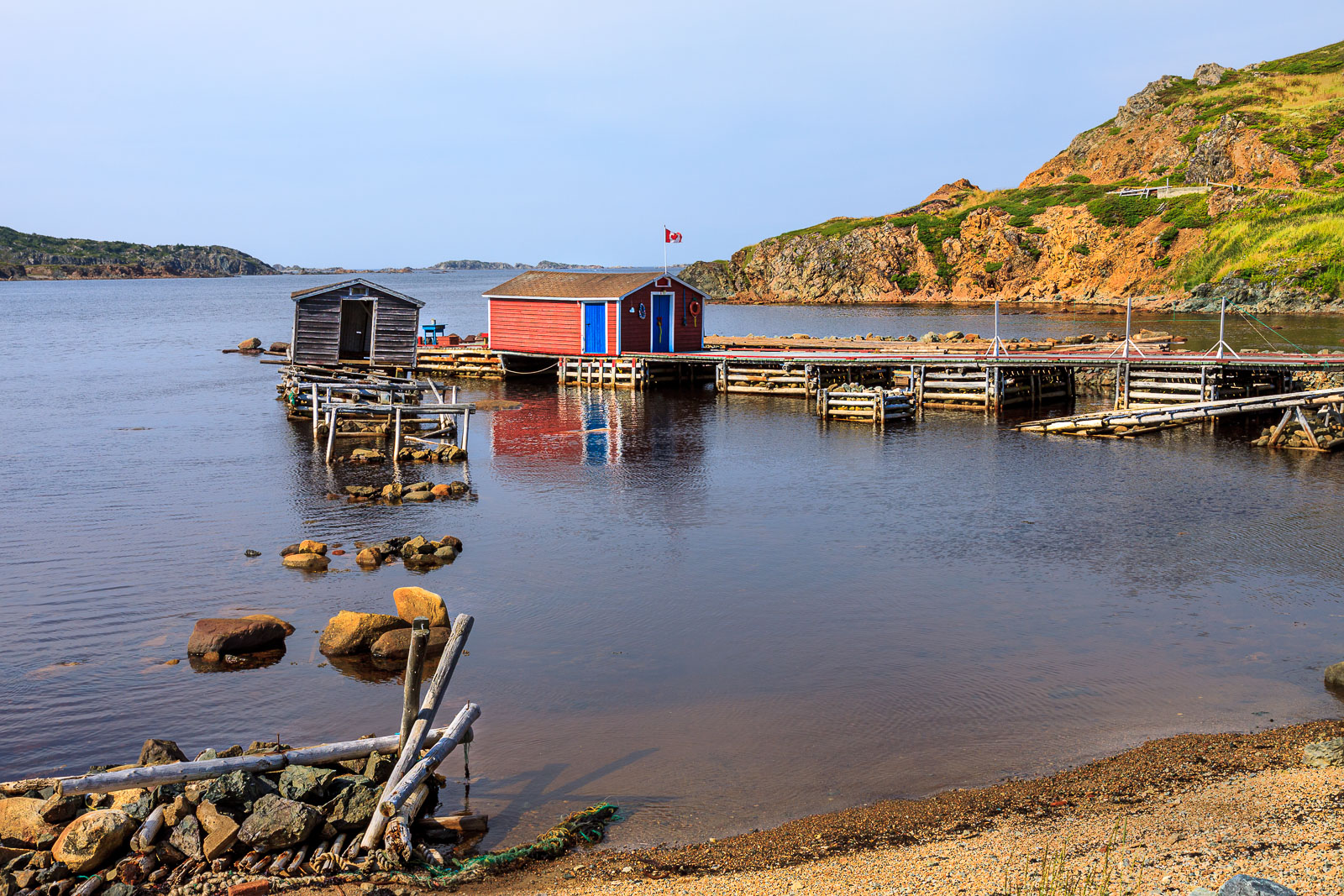 NFLD_1334__MG_9930.jpg