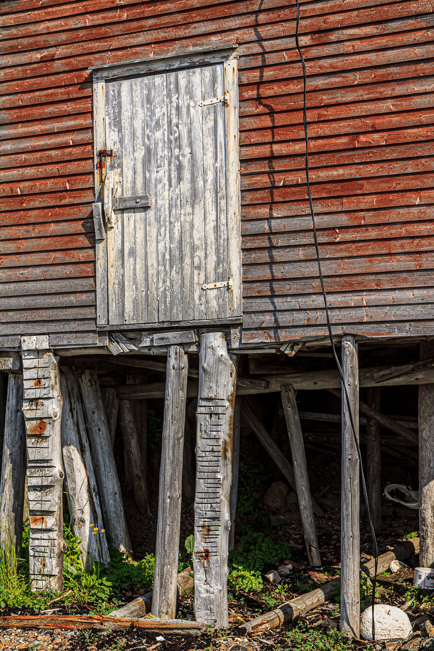 NFLD_1347__MG_9943.jpg