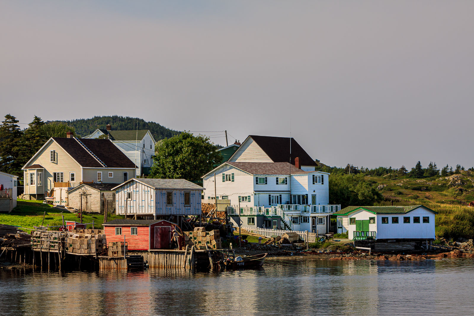 NFLD_1358__MG_9954.jpg