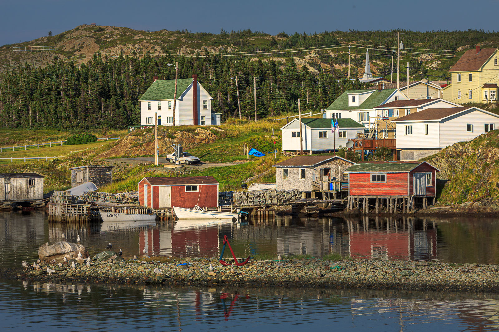 NFLD_1364__MG_9960.jpg