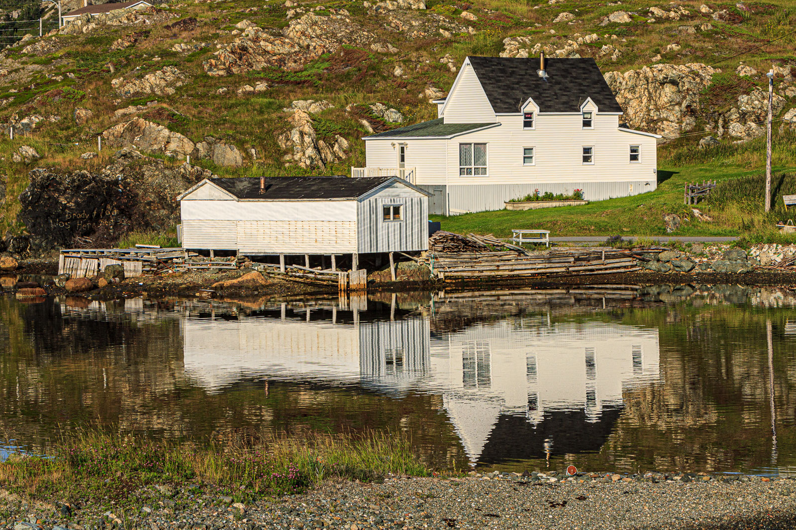 NFLD_1365__MG_9961.jpg