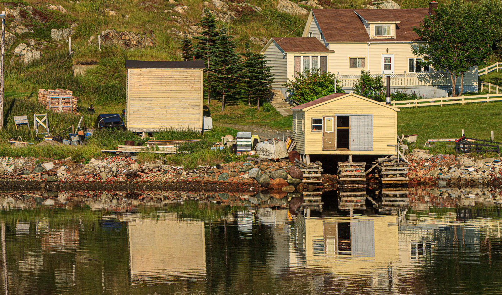 NFLD_1366__MG_9962.jpg