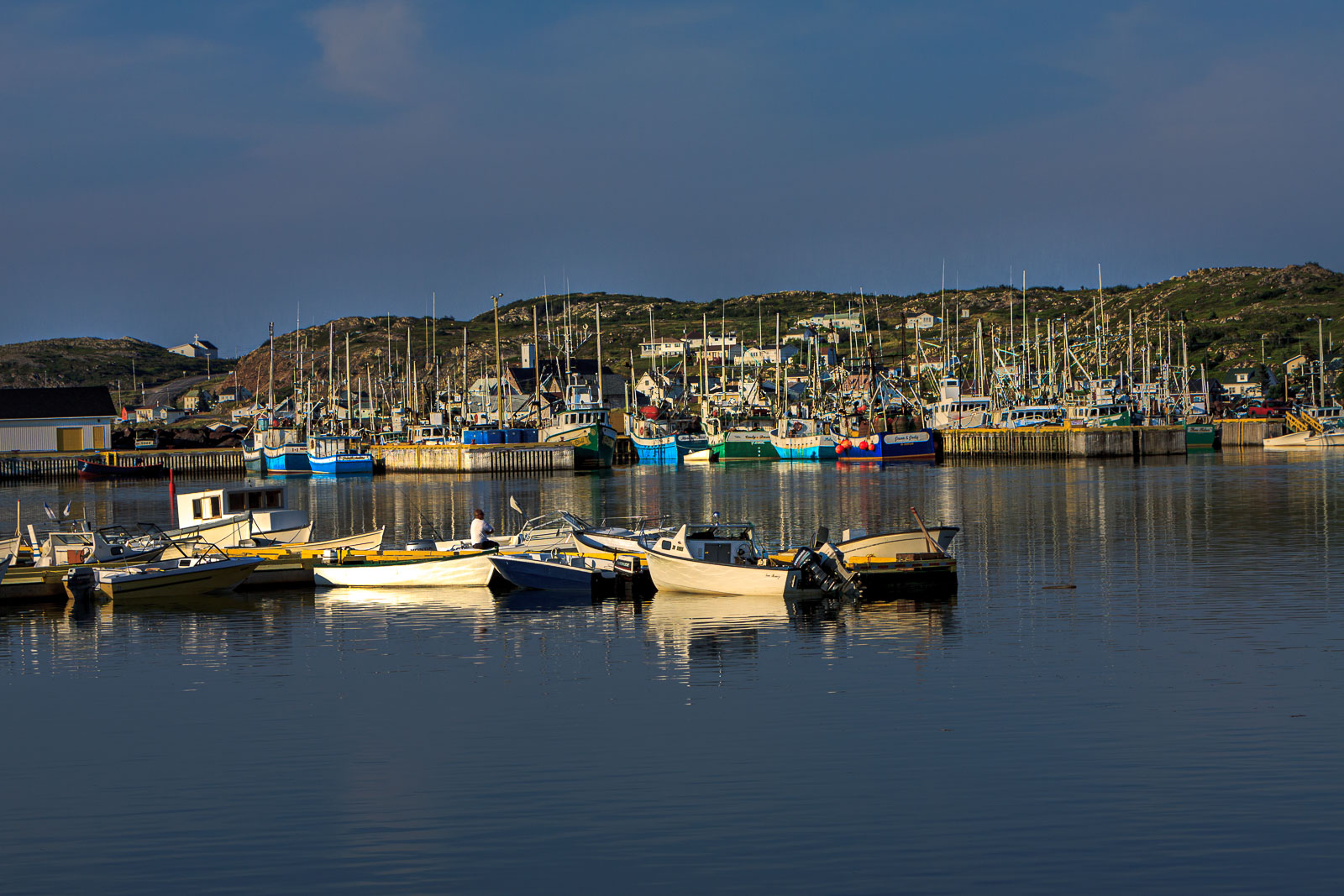 NFLD_1369__MG_9965.jpg