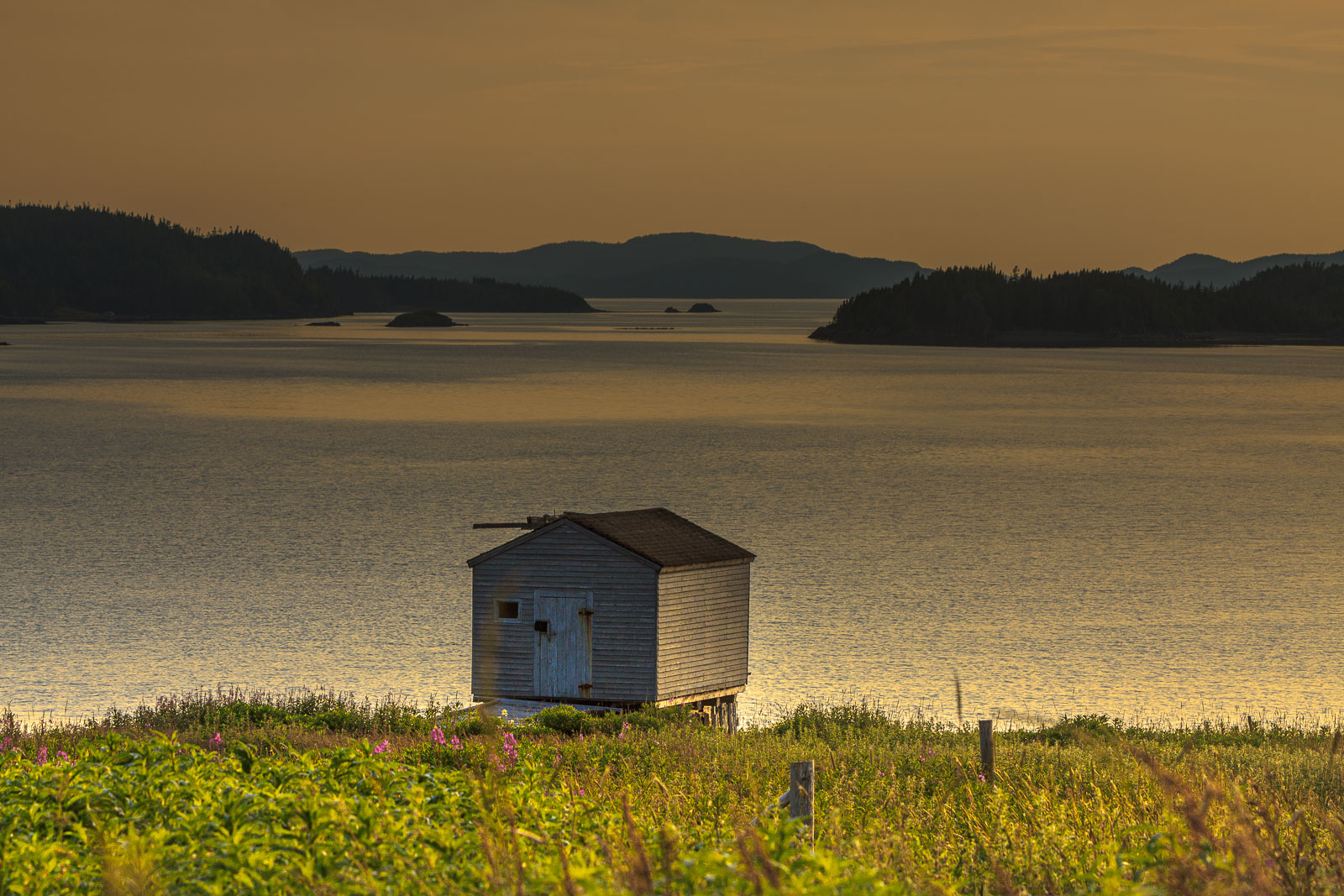 NFLD_1394__MG_9990.jpg