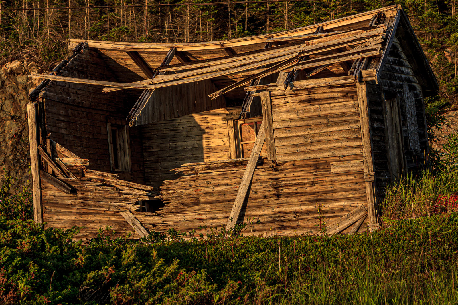 NFLD_1406__MG_0003.jpg