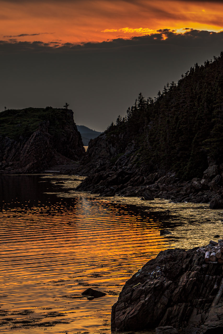 NFLD_1442__MG_0039.jpg