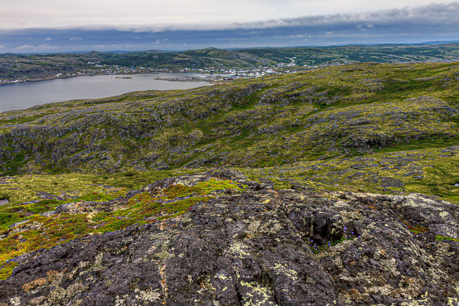 NFLD_1452__MG_0049.jpg