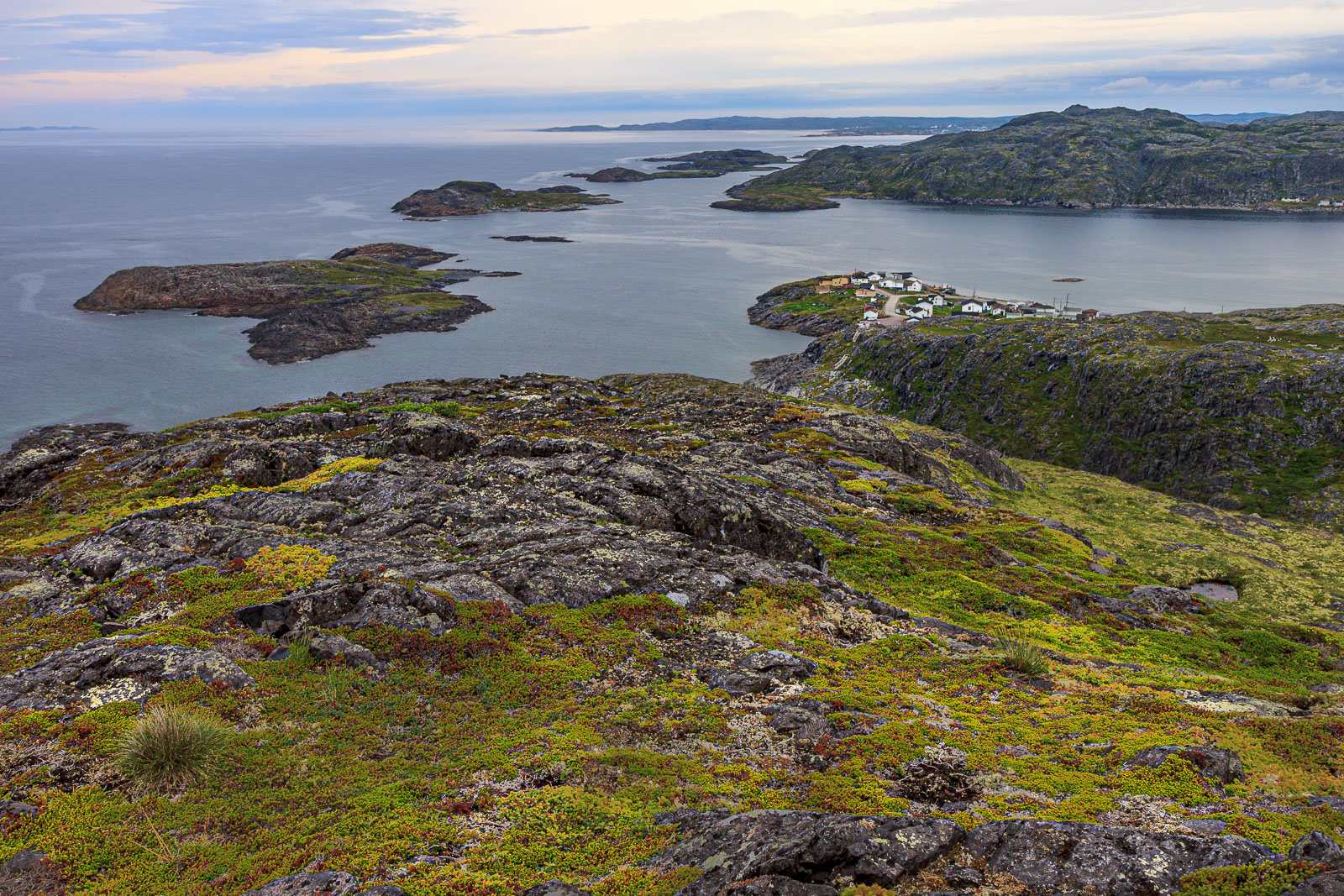 NFLD_1454__MG_0051.jpg