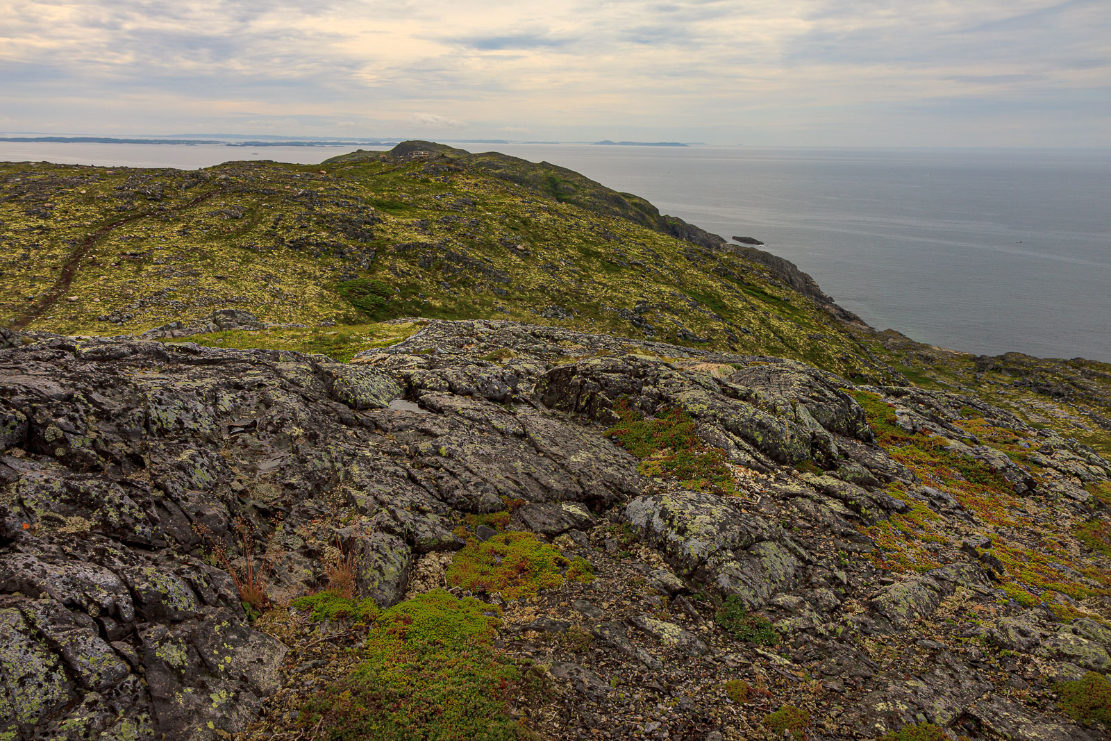 NFLD_1455__MG_0052.jpg