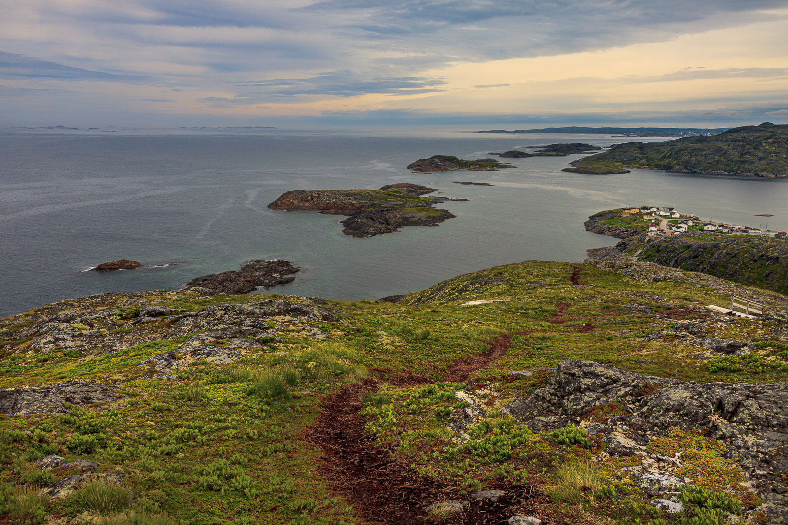 NFLD_1458__MG_0055.jpg