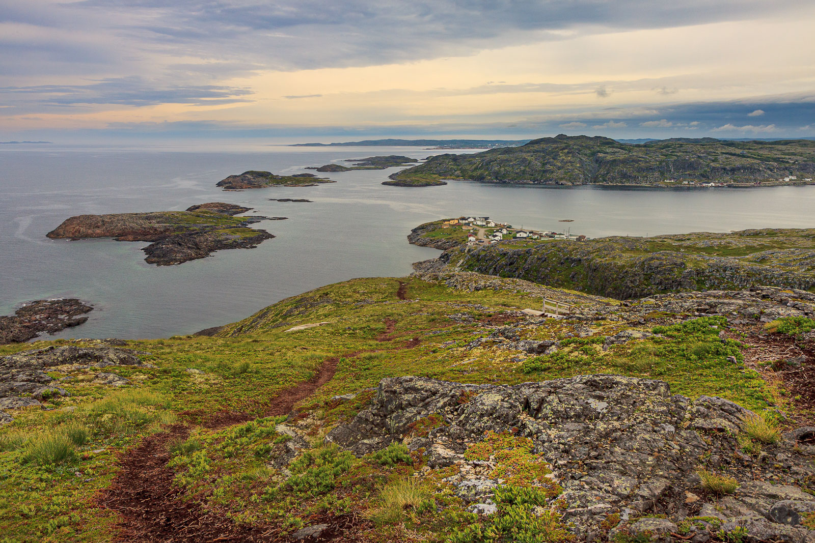 NFLD_1459__MG_0056.jpg