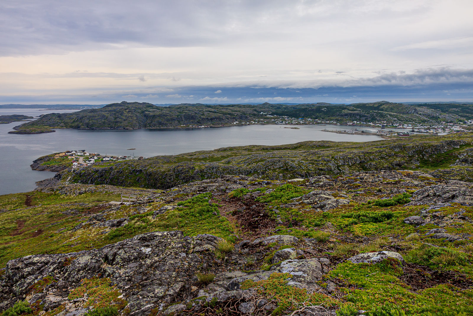 NFLD_1461__MG_0058.jpg