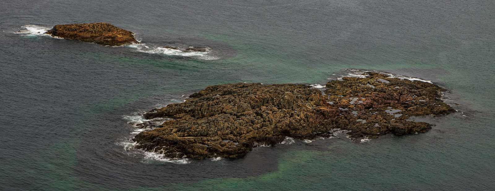 NFLD_1477__MG_0074.jpg