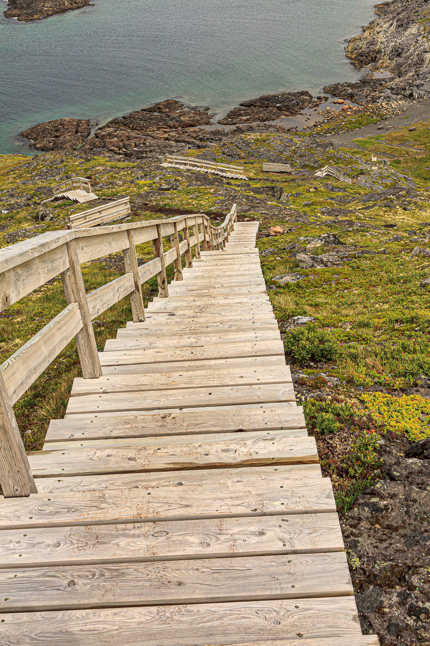 NFLD_1485__MG_0082.jpg