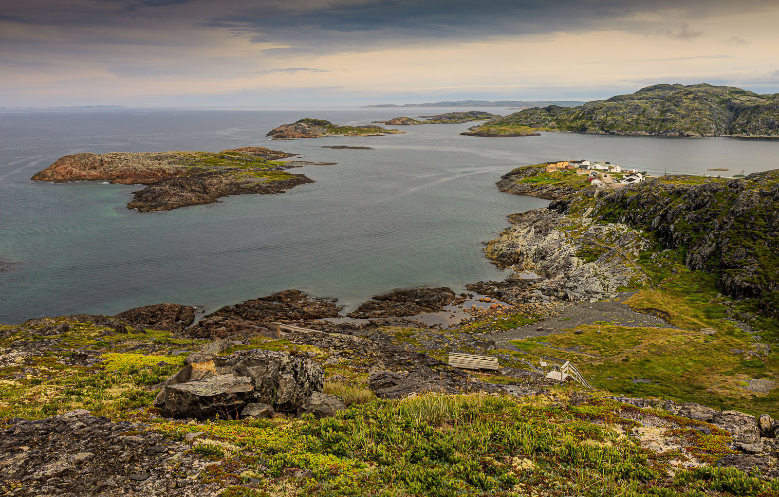 NFLD_1494__MG_0091.jpg