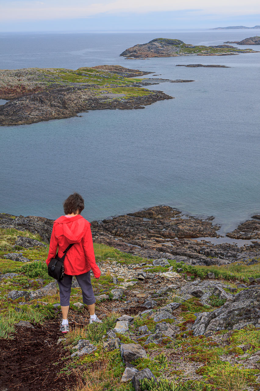 NFLD_1499__MG_0096.jpg